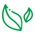 勝游亞洲sg