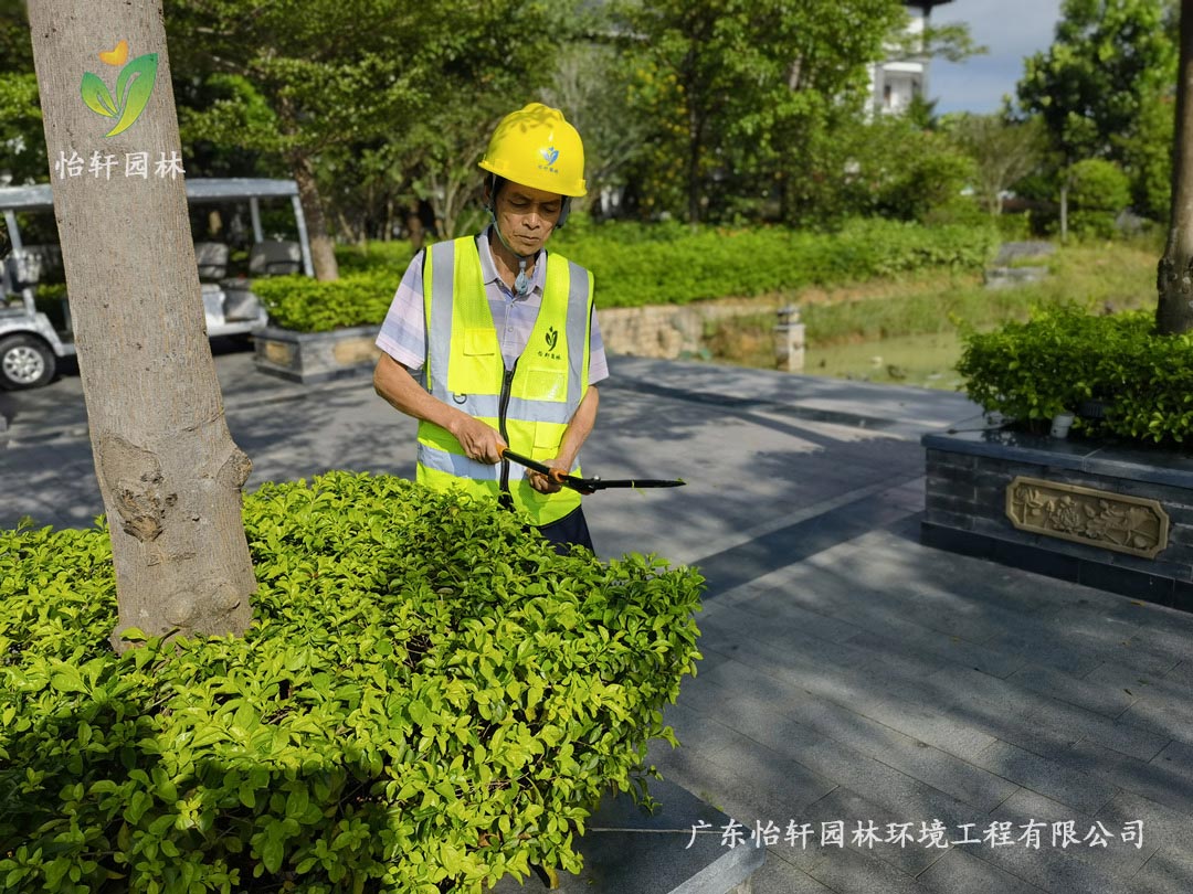 SG勝游園林綠化公司養(yǎng)護人員正在修剪