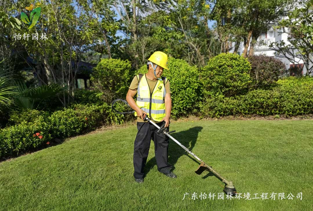 5惠州綠色動力廠區(qū)日常養(yǎng)護工作