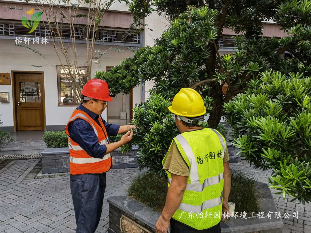 SG勝游園林綠化公司廠區(qū)綠化養(yǎng)護指導工作