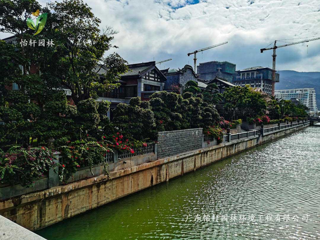 珠海橫琴島香洲埠別墅小區(qū)綠化養(yǎng)護(hù)